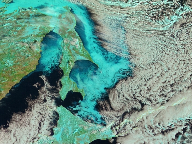 図3　流氷の側から発生する雲列（2019年1月27日9時00分）