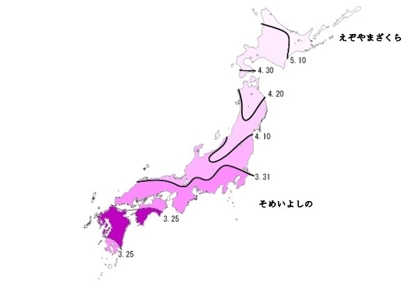 図2　桜開花日の平年値（気象庁による）