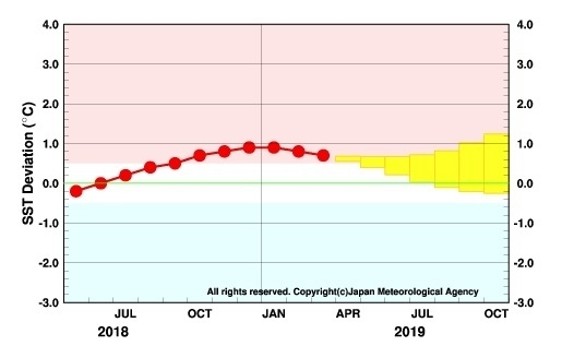 図4　エルニーニョ監視海域の海面水温の経過と予測（6月11日発表）