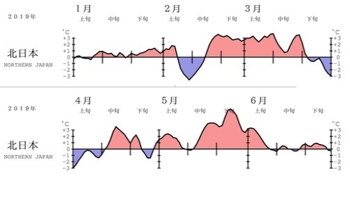 図1　北日本の地域平均気温偏差の5日移動平均系列図（1月～6月）