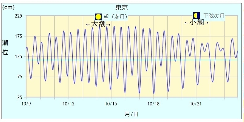 図4　令和元年（2019年）10月の潮位