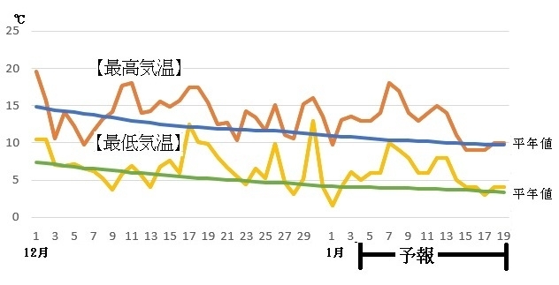 図2　12月1日以降の福岡の気温の推移（1月4～10日は気象庁、1月11～19日はウェザーマップの予報）