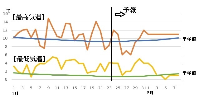 図2　東京の最高気温と最低気温（1月24～30日は気象庁、1月31日～2月8日はウェザーマップの予報）