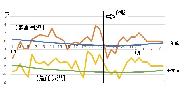 図3　札幌の最高気温と最低気温（1月24～30日は気象庁、1月31日～2月8日はウェザーマップの予報）