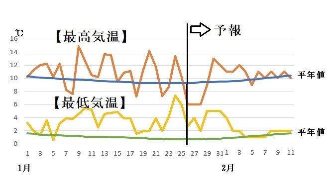 図1　東京の最高気温と最低気温（1月26日～2月1日は気象庁、2月2日から11日はウェザーマップの予報）