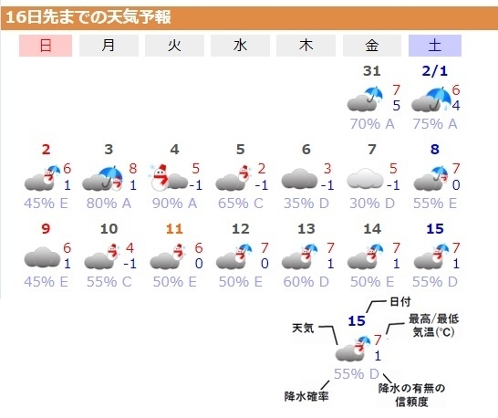 図3　新潟の16日先までの天気予報