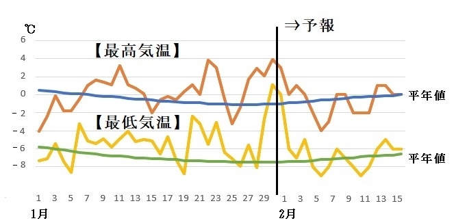 図5　札幌の最高気温と最低気温の推移（1月31日～2月6日は気象庁、2月7日～15日はウェザーマップの予報）
