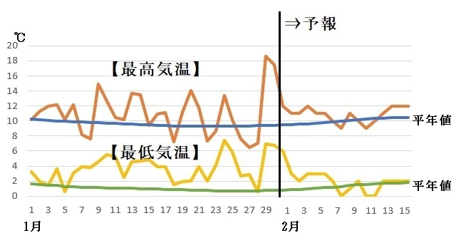 図6　東京の最高気温と最低気温の推移（1月31日～2月6日は気象庁、2月7日～15日はウェザーマップの予報）