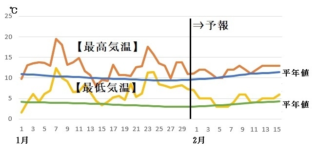 図7　福岡の最高気温と最低気温の推移（1月31日～2月6日は気象庁、2月7日～15日はウェザーマップの予報）
