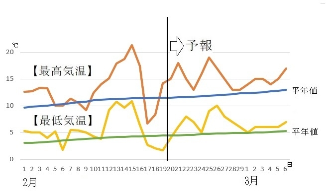 図2　福岡の最高気温と最低気温（2月20～26日は気象庁、2月27日～3月6日はウェザーマップの予報）