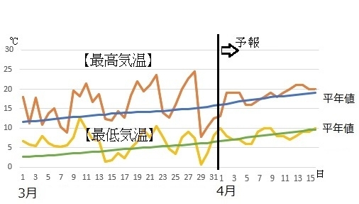 図6　東京の最高気温と最低気温（4月1日～7日は気象庁、4月8～16日はウェザーマップの予報）