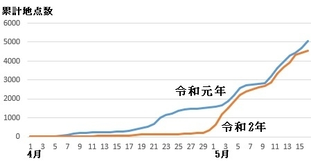 図1　令和元年（2019年）と令和2年の夏日の累計地点数（4月1日から５月16日）