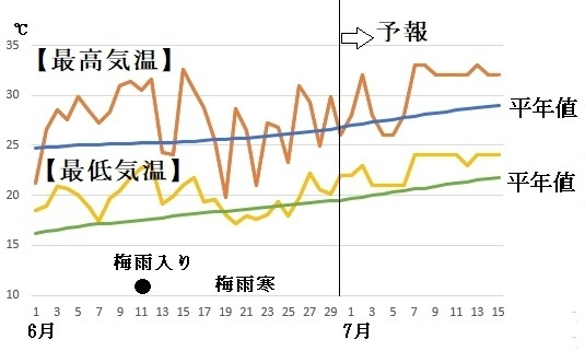 図7　東京の最高気温と最低気温の推移（6月30日～7月6日は気象庁、7月7日～15日はウェザーマップの予報）