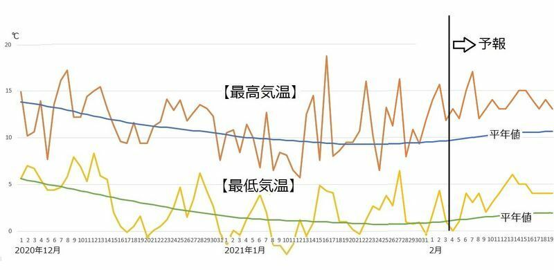 図3　東京の最高気温と最低気温（2月4日から10日は気象庁、2月11日から19日はウェザーマップの予報）