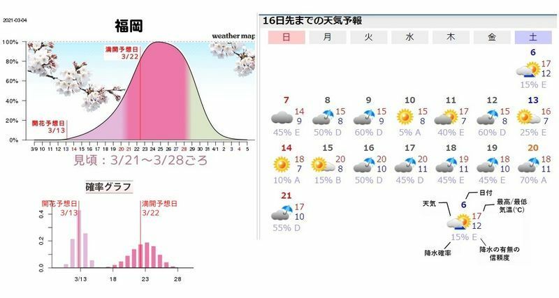図4　福岡の桜の見頃予想と16日先までの天気予報