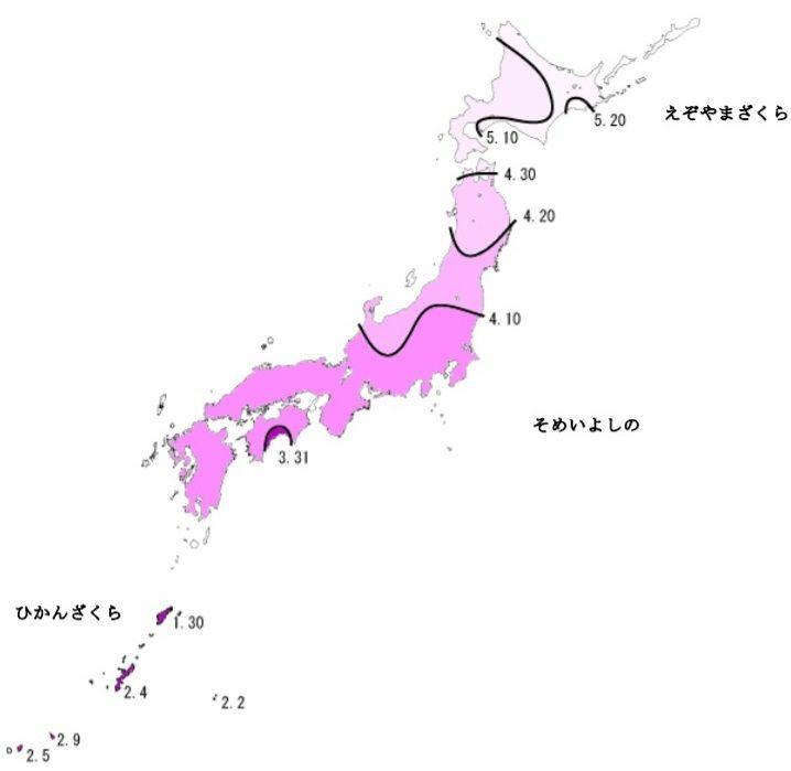 図2　桜の満開日の等期日線図（桜満開前線の平年図）