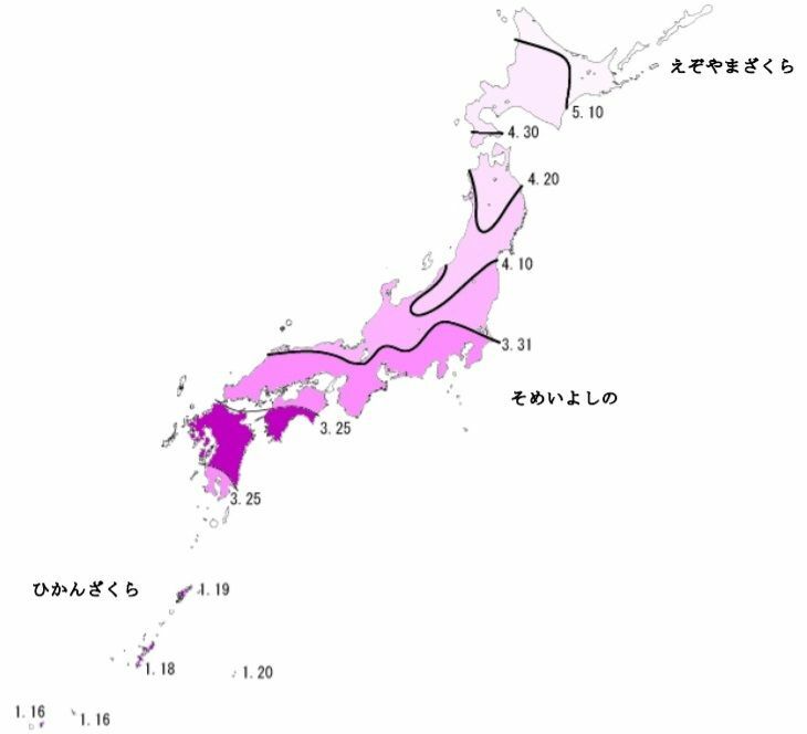 図1　桜の開花日の等期日線図（桜開花前線の平年図）