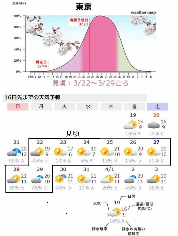 図3　東京のさくらの見頃予報（上段）と東京の16日先までの天気予報