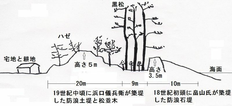 図4　広村堤防の概略図