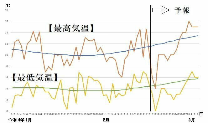 図6　福岡の最高気温と最低気温の推移（2月16～22日は気象庁、2月23日～3月3日はウェザーマップの予報）
