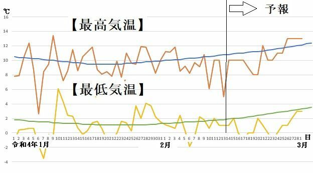 図7　東京の最高気温と最低気温の推移（2月14～20日は気象庁、2月21日～3月1日はウェザーマップの予報）