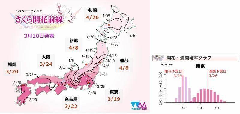 図5　さくら開花前線と東京の開花・満開確率グラフ（ウェザーマップによる）