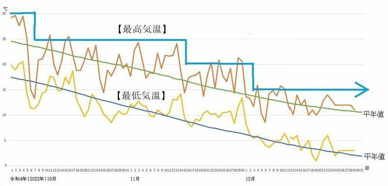 図5　東京の最高気温と最低気温の推移（12月14日～29日はウェザーマップの予報）