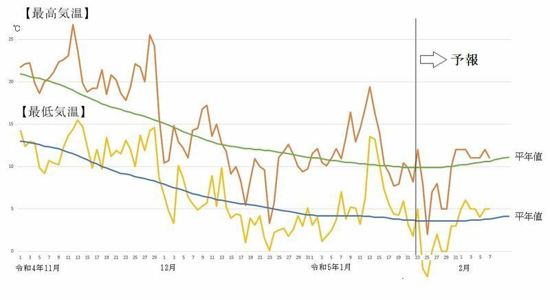 図8　福岡の最高気温と最低気温の推移（1月23日～29日は気象庁、1月30日以降はウェザーマップの予報）