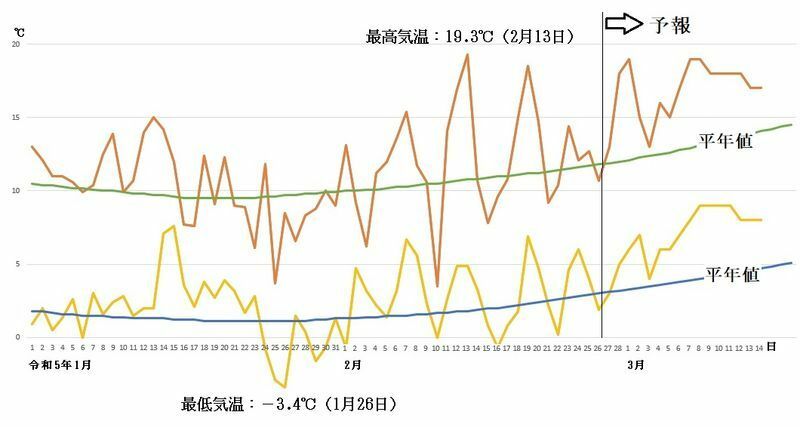 図4　東京の最高気温と最低気温の推移（2月27日～3月5日は気象庁、3月6日～14日はウェザーマップの予報）