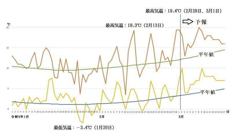 図4　東京の最高気温と最低気温の推移（3月2日～3月8日は気象庁、3月9日～17日はウェザーマップの予報） 