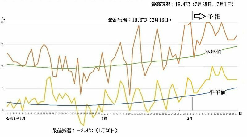 図6　東京の最高気温と最低気温の推移（3月3日～3月9日は気象庁、3月10日～17日はウェザーマップの予報）