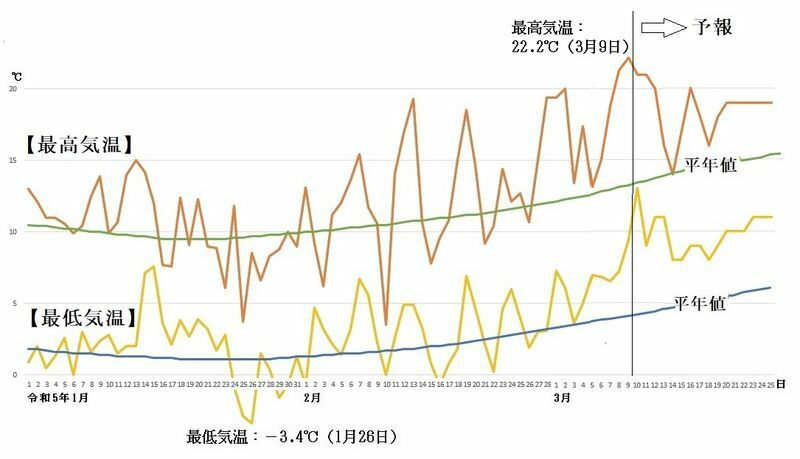 図5　東京の最高気温と最低気温の推移（3月10日～16日は気象庁、3月17日～25日はウェザーマップの予報）
