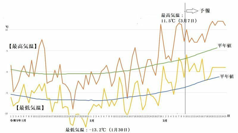 図6　札幌の最高気温と最低気温の推移（3月10日～16日は気象庁、3月17日～25日はウェザーマップの予報）