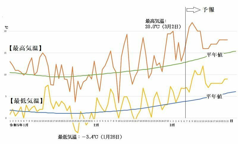 図3　東京の最高気温と最低気温の推移（3月7日～3月13日は気象庁、3月14日～22日はウェザーマップの予報）