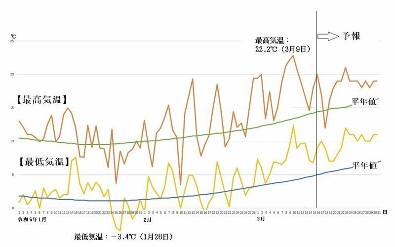 図4　東京の最高気温と最低気温の推移（3月16日～22日は気象庁、3月23日～31日はウェザーマップの予報）