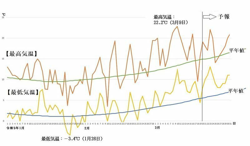 図6　東京の最高気温と最低気温の推移（3月20日～26日は気象庁、3月27日～31日はウェザーマップの予報）