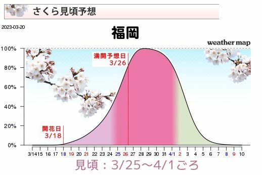 図6　福岡のさくら見頃予想