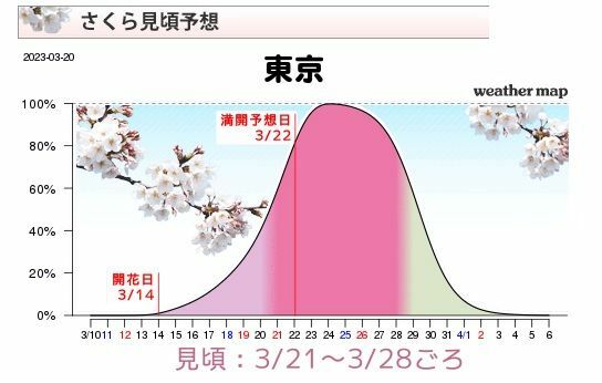 図3　東京のさくら見頃予想