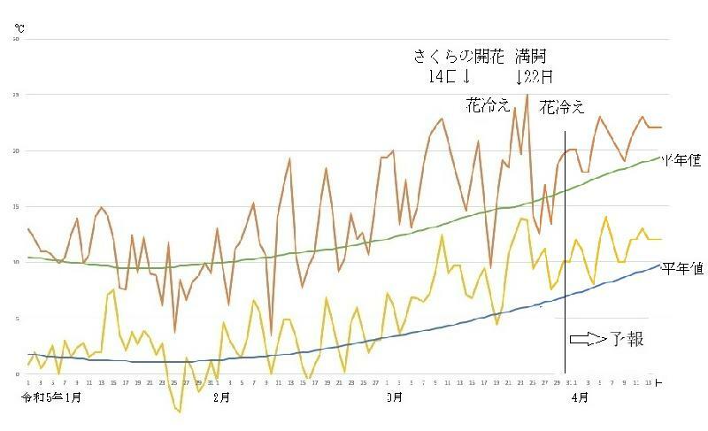 図2　東京の最高気温と最低気温の推移（3月31日～4月6日は気象庁、4月7日～15日はウェザーマップの予報）