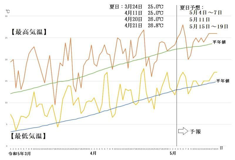 図6　東京の最高気温と最低気温の推移（5月4日以降はウェザーマップの予報）