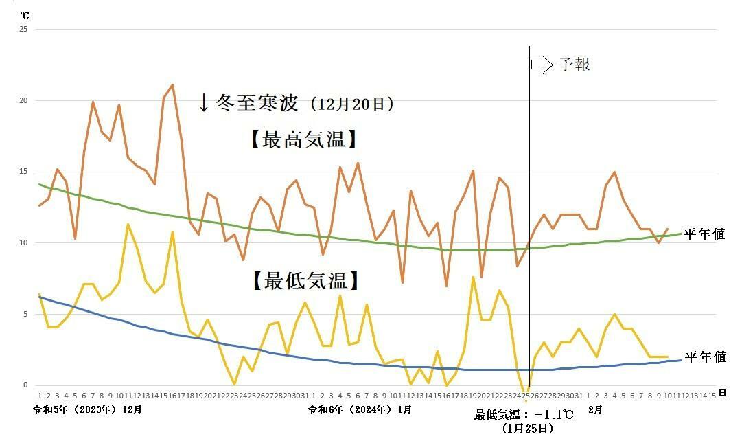 図3　東京の最高気温と最低気温の推移（1月26日〜2月1日は気象庁、2月2日〜2月10日はウェザーマップの予報）