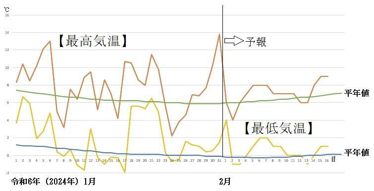 図2　石川県輪島の最高気温と最低気温の推移（1月1日～31日は実況、2月1日～16日はウェザーマップの予報）