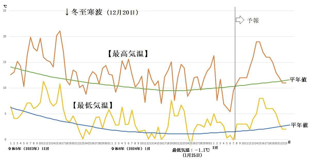 図2　東京都心の最高気温と最低気温の推移（2月8日以降はウェザーマップの予報）