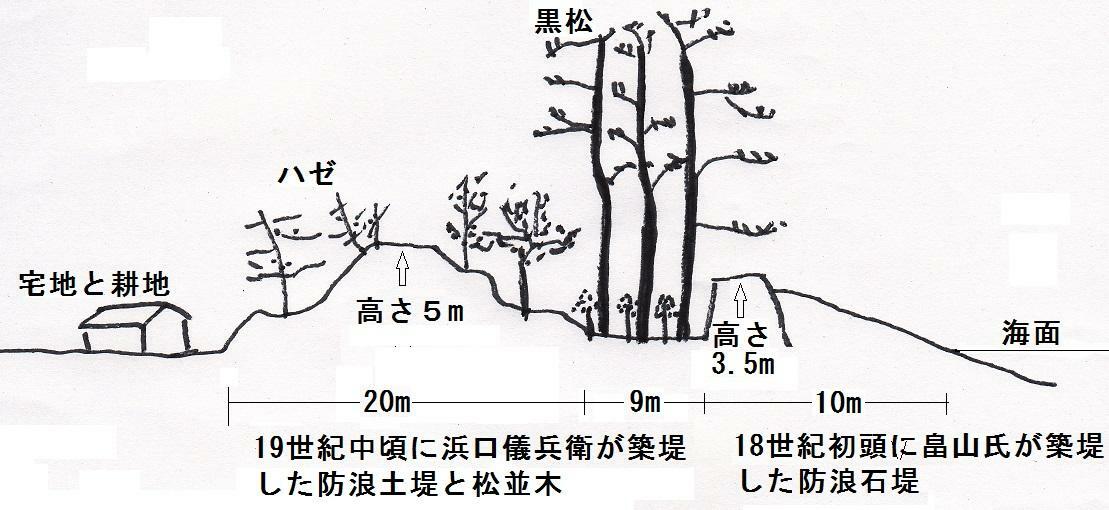 図3　広村堤防の概略図