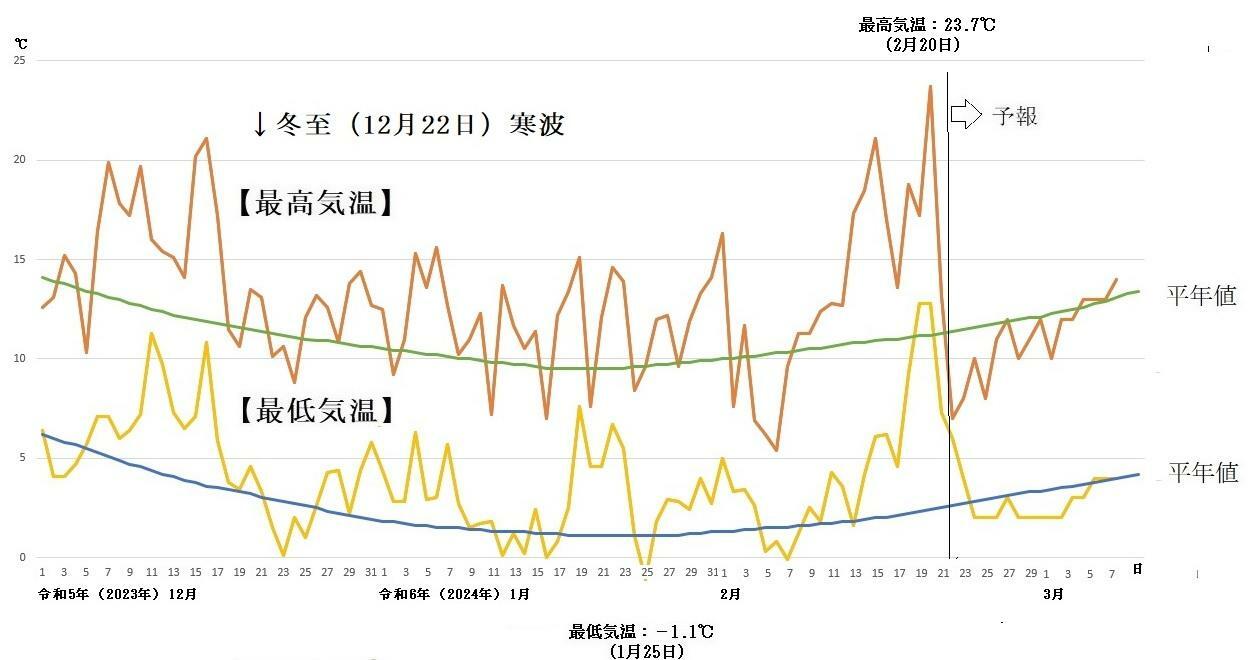 図5　東京の最高気温と最低気温の推移（2月22日以降は予報）