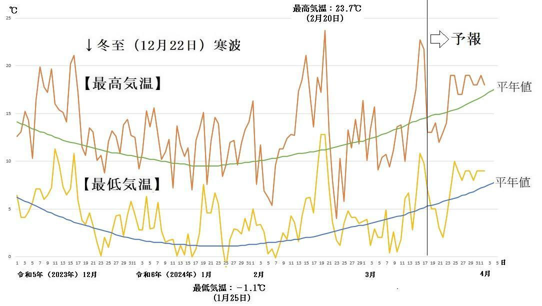図3　東京の最高気温と最低気温の推移（3月18日～24日は気象庁の予報、3月25日～4月2日はウェザーマップの予報）