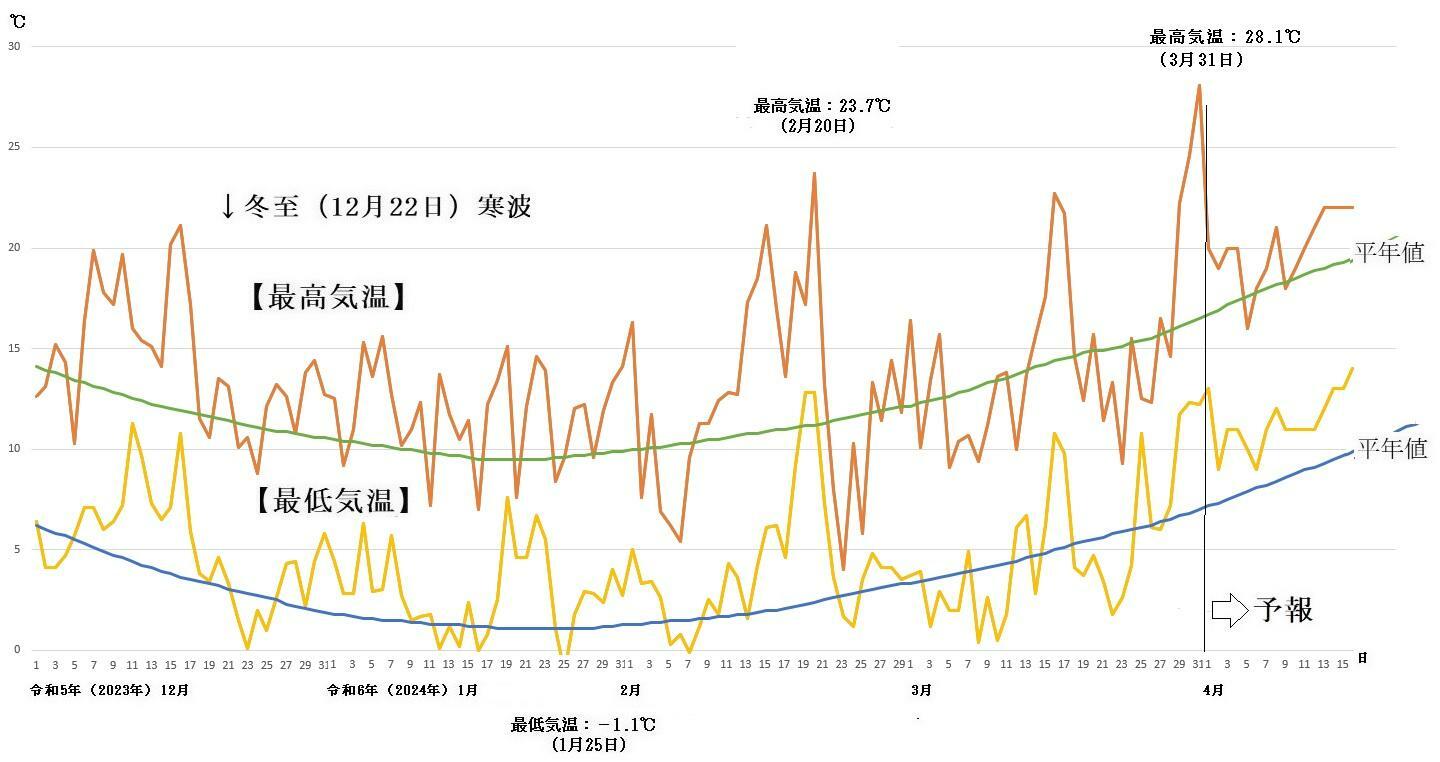 図2　東京の最高気温と最低気温の推移（4月1日以降はウェザーマップの予報）