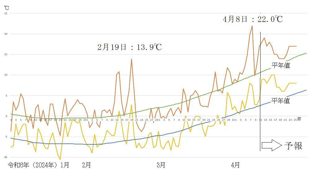 図2　札幌の最高気温と最低気温の推移（4月11～17日は気象庁、18～26日はウェザーマップの予報）