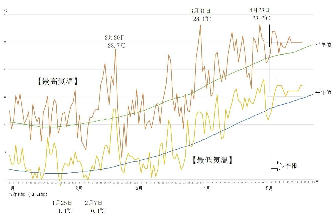図2　東京の最高気温と最低気温の推移（5月3日以降はウェザーマップの予報）