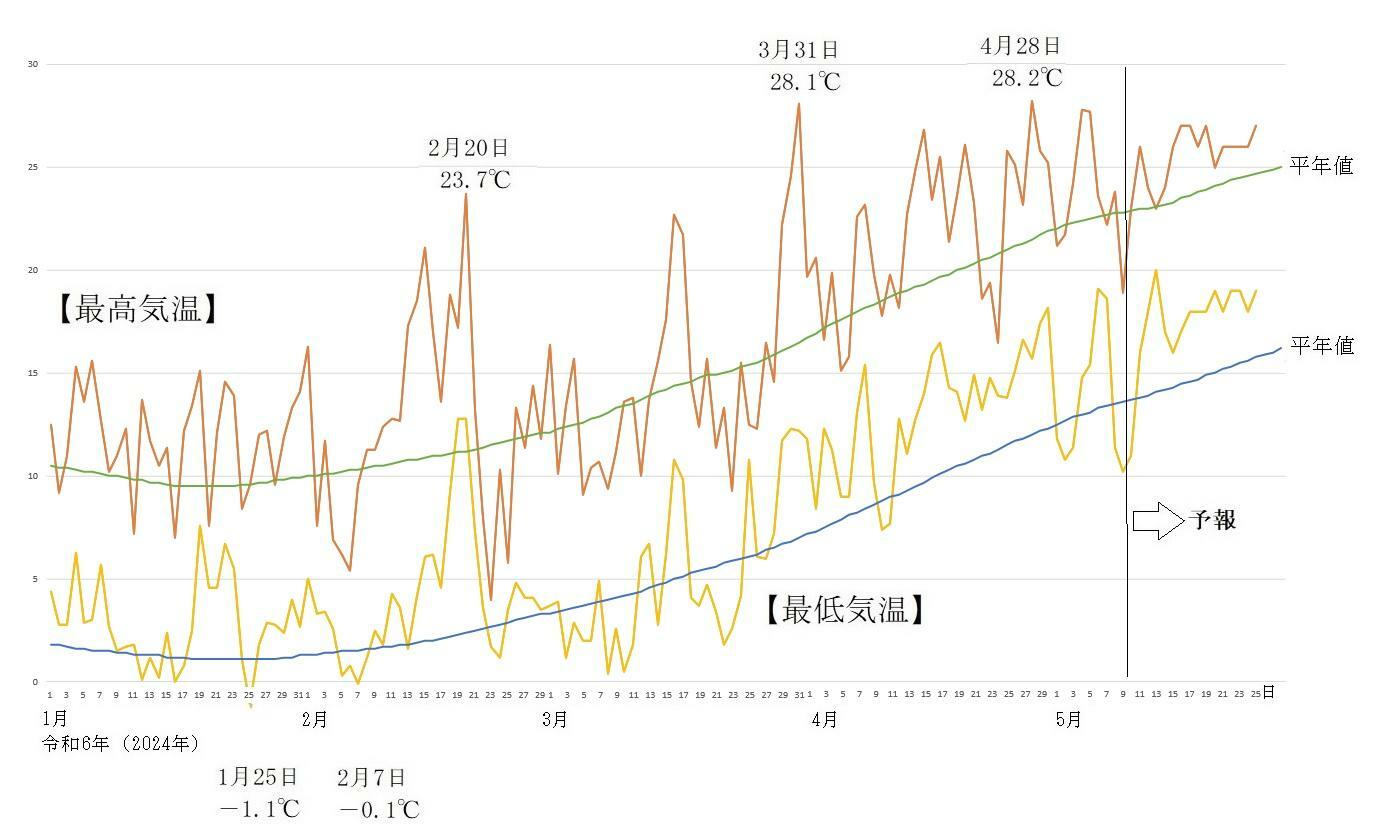 図6 　東京の最高気温と最低気温の推移（5月10日以降はウェザーマップの予報）